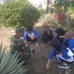IMG-20240712-WA0124