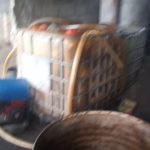 IMG-20240814-WA0265