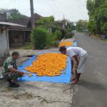 IMG-20240819-WA0078