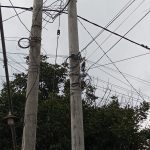 IMG-20241022-WA0245
