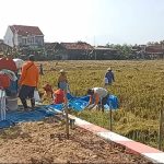 IMG-20241026-WA0036