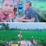 IMG-20241231-WA0150