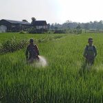 IMG-20250208-WA0097