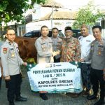 IMG-20250606-WA0082