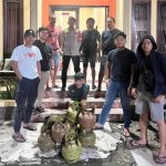 Oplus_131072